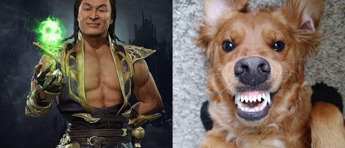 Shang Tsung Confirms Rules Don’t Say Dog Can’t Mortal Kombat